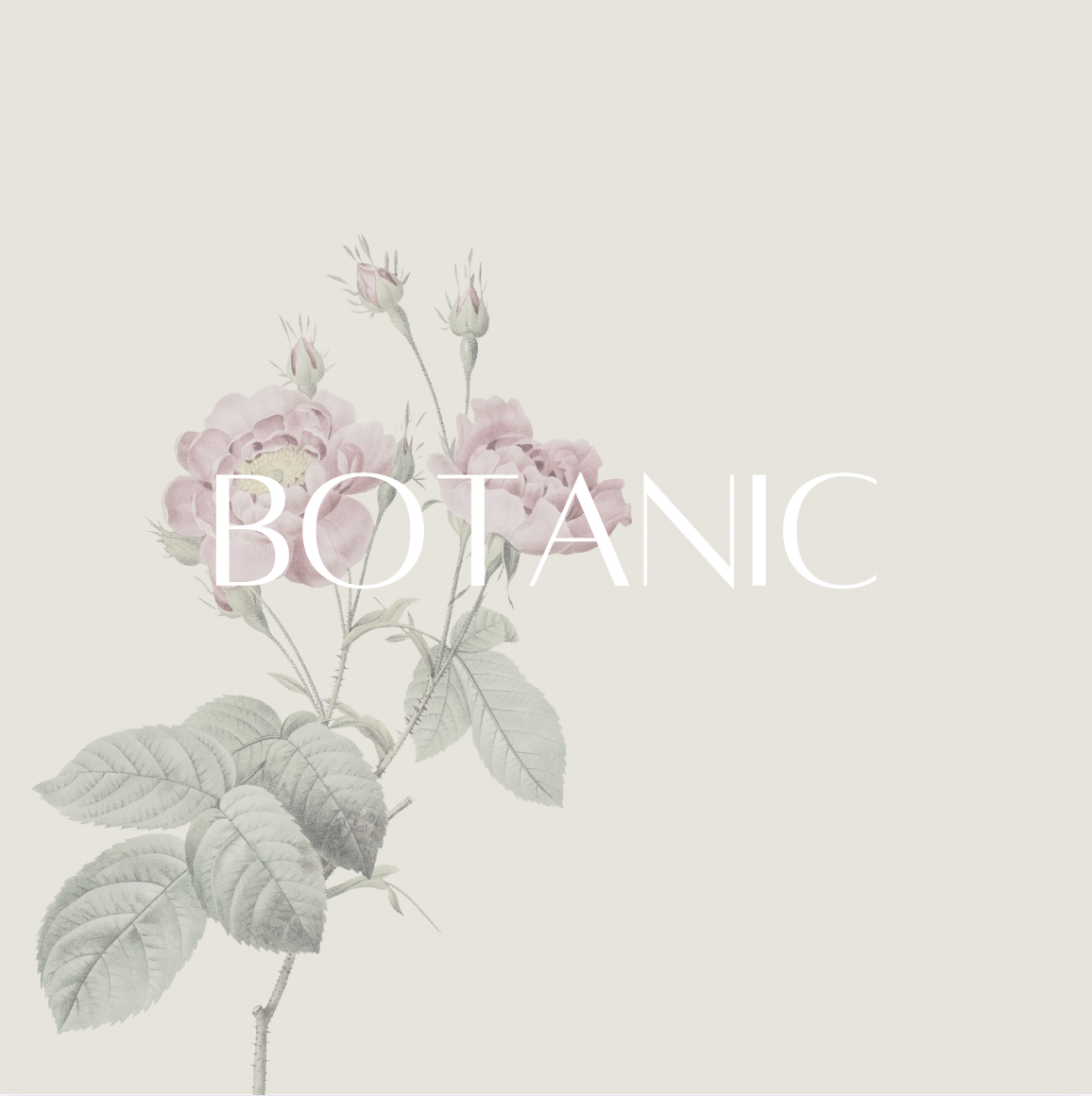 REFILL CANDLE: BOTANIC